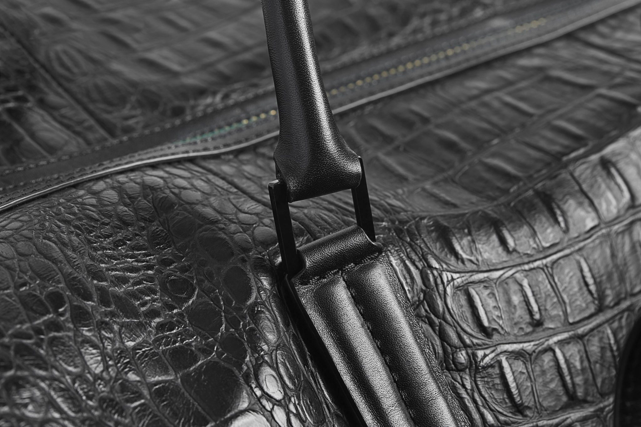 black_croc_0268_v1-1_RGB